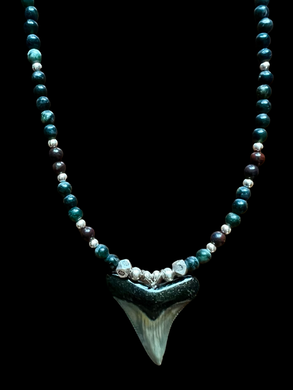 fossilized sharks tooth w/hematite