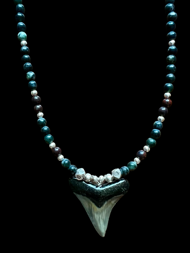 fossilized sharks tooth w/hematite