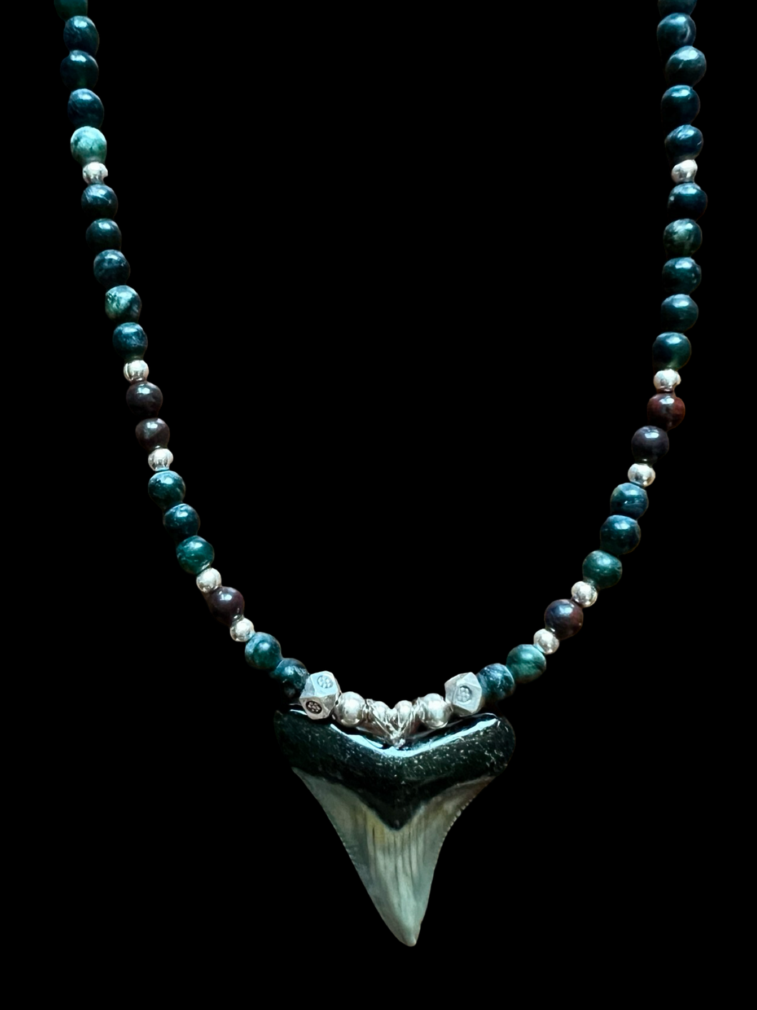 fossilized sharks tooth w/hematite